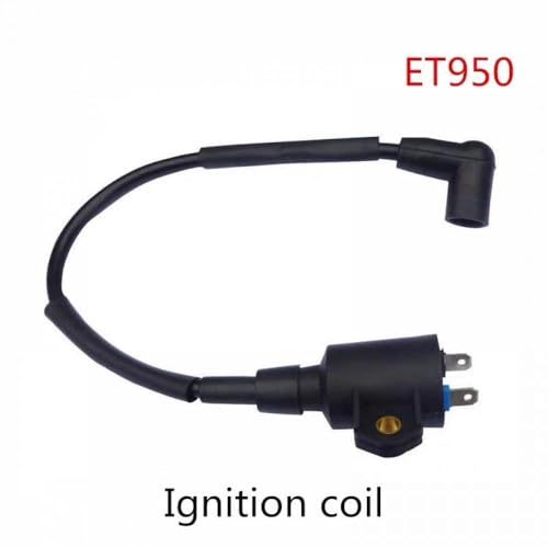 Magnetzündspule und Zündgerät, kompatibel mit ET950 ET650 IE45 TG950 Kompatibel mit 450 W, 650 W, 800 W, 950 W, 1000 W(1 X IGNITION COIL) von RMXGZQ