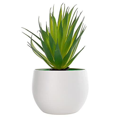 RNCOZE Künstliche Agave, Sukkulenten, künstliche Aloe-Agave, Sukkulenten, strukturierte Aloe, Mini-Topfpflanze, Sukkulenten, Bonsai für Zuhause, Büro, Schreibtisch-Dekoration (18 x 8 cm) von RNCOZE