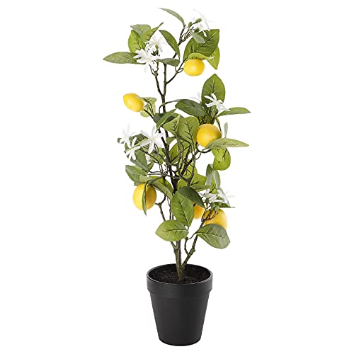 RNCOZE Künstlicher Zitronenbaum, Bansai, 61 cm, künstlicher Zitronenbaum, Pflanzgefäß, Zitronenkugel-Pflanzgefäß, gefälschte Zitrone, Bonsai für Zuhause, Küche, Büro, Tischdekoration von RNCOZE