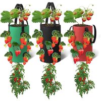 Rnemitery - 3er-Set hängende Pflanzbeutel, atmungsaktive Pflanzbeutel mit 12 Löchern, für Erdbeeren, Kräuter, Blumen, Gemüse, 20 cm 35 cm (Rot, von RNEMITERY