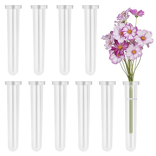 RNHDLY 10 Stück Reagenzgläser für Blumen, Blumenröhrchen Kunststoff, Blumen Wasserröhrchen mit Kappen Orchideenröhrchen Flower Tubes für Blumenarrangements, Dekoration 11x1,8 cm von RNHDLY