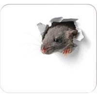 RNK-Verlag Mousepad-Notizblock weiß/grau 30 Blatt von RNK-Verlag