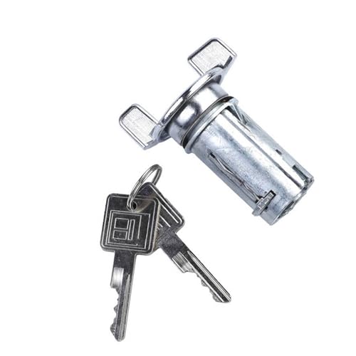 RNUMLIGH 1pcs Car Ignition Lock Cylinder 4489225 7025216 8120081 LP-112 von RNUMLIGH