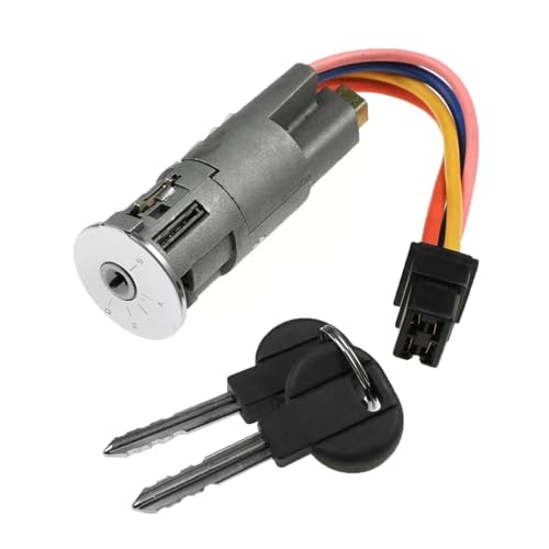 RNUMLIGH 1pcs Ignition Starter Switch 2521.68 252168 von RNUMLIGH
