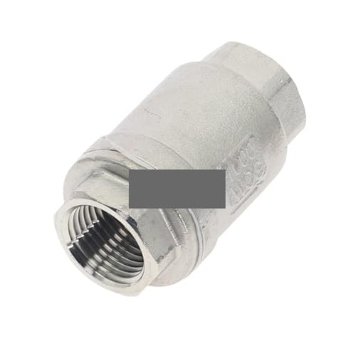 RNUMLIGHT (DN15) SS 304 Edelstahl-Rückschlagventil, 1/8 Zoll, 1/4 Zoll, 3/4 Zoll, 2,5 cm, Innengewinde, Drahtmündung, vertikales Rückschlagventil, 1 Stück von RNUMLIGH
