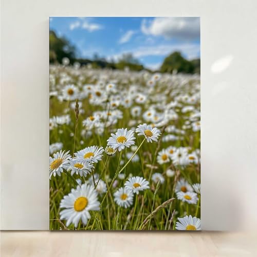 Diamond Painting Erwachsene Blume Diamant Painting Bilder Blumen 5D DIY Mosaikherstellung Basteln Erwachsene Anfänger Set für Heim Schlafzimmer Deko Wohnzimmer, Geschenke für Frauen 40x50CM PjY338 1-W Diamond Painting Erwachsene Blume Diamant Painting Bilder Blumen 5D DIY Mosaikherstellung Basteln Erwachsene Anfänger Set für Heim Schlafzimmer Deko Wohnzimmer, Geschenke für Frauen 40x50CM PjY338 1-W von RNXAOPEN