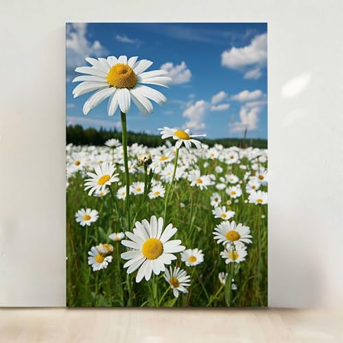 Diamond Painting Erwachsene Blume Diamant Painting Bilder Blumen 5D DIY Mosaikherstellung Basteln Erwachsene Anfänger Set für Heim Schlafzimmer Deko Wohnzimmer, Geschenke für Frauen 50x65CM PjY656 3-O Diamond Painting Erwachsene Blume Diamant Painting Bilder Blumen 5D DIY Mosaikherstellung Basteln Erwachsene Anfänger Set für Heim Schlafzimmer Deko Wohnzimmer, Geschenke für Frauen 50x65CM PjY656 3-O von RNXAOPEN