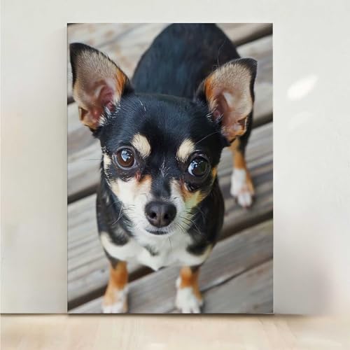 Diamond Painting Erwachsene Hund Diamant Painting Bilder Tier 5D DIY Mosaikherstellung Basteln Erwachsene Anfänger Set für Heim Schlafzimmer Deko Wohnzimmer, Geschenke für Frauen 70x95CM PjY8442 5-2 von RNXAOPEN