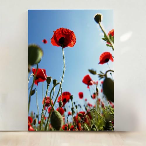 Pfingstrose Diamond Painting, 5D Blume Diamond Painting Erwachsene Diamant Malerei DIY Steine Kristall Kunst Bastelnset Erwachsene Anfänger Set, zur Zimmer Wanddeko, Geschenke 80x100CM PjY1233 2-8 Pfingstrose Diamond Painting, 5D Blume Diamond Painting Erwachsene Diamant Malerei DIY Steine Kristall Kunst Bastelnset Erwachsene Anfänger Set, zur Zimmer Wanddeko, Geschenke 80x100CM PjY1233 2-8 von RNXAOPEN