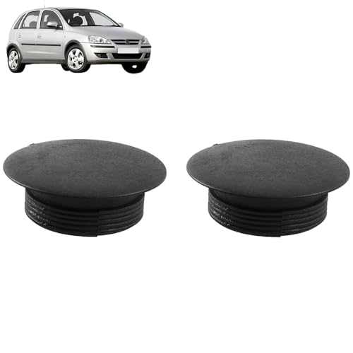 ROBUST CAR PARTS ROBUST 2x Stopfen Einsatz Stöpsel B-säule Abdeckung Kappe für Opel Corsa C 122927 13126116 2000-2006 von ROBUST CAR PARTS