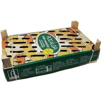 Monalisa pathroom tale fâ r semabra, 100 uds - Rocalba Monalisa pathroom tale fâ r semabra, 100 uds - Rocalba von ROCALBA