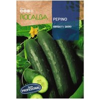 ROCALBA SEED PEPINO SAGRO F-1 10G, Pack 5x ROCALBA SEED PEPINO SAGRO F-1 10G, Pack 5x von ROCALBA