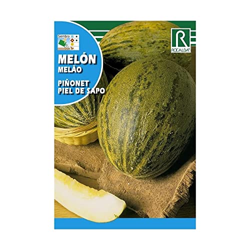 ROCALBA Samen Melon piñonet P.S. 10UD ROCALBA Samen Melon piñonet P.S. 10UD von ROCALBA