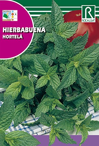 ROCALBA Samen Minze 10UD ROCALBA Samen Minze 10UD von ROCALBA