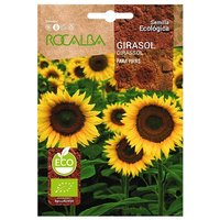 Rokalba Eco Sunflowol fЩr Pfeifen 15g von ROCALBA