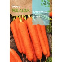Rocalba Seed Carrot Amsterdam 2 500g Rocalba Seed Carrot Amsterdam 2 500g von ROCALBA