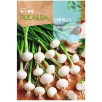 Rocalba - seed weisse Zwiebel Queen (Schnittlauch) 500g von ROCALBA