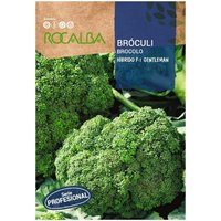 Rokalba Broculi Gentleman F-1 100 Samen von ROCALBA