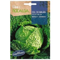 Rokalba Col Milan Savonarch F-1 80 Samen von ROCALBA