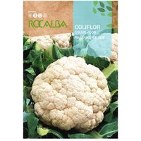 Rokalba Coliflor Frankfurter Riesen 3G von ROCALBA