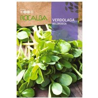 Rokalba -Verlaga -Taschen 4G Samen Rokalba -Verlaga -Taschen 4G Samen von ROCALBA