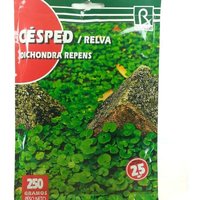 Rokalba c Spedendra Repens Commit Rokalba c Spedendra Repens Commit von ROCALBA