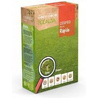 Seed cрљ sped Fast 1 kg - Rocalba Seed cрљ sped Fast 1 kg - Rocalba von ROCALBA