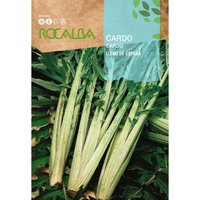 Seeds distle von Spanier 25 gr - Rocalba von ROCALBA