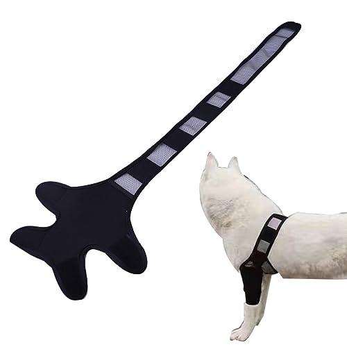 ROCKIA Dog Leg Sleeve - Dog Hip Joint Care Support Brace | Adjustable Dog Rear Leg Care Support Brace, Dog Brace Wrap for Small Medium Dogs von ROCKIA