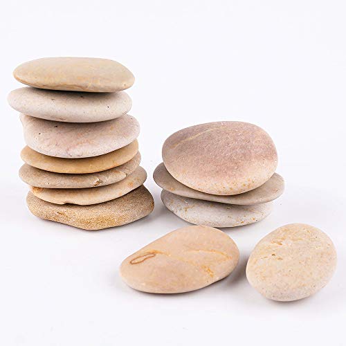 ROCKIMPACT 16 große beige Steine zum bemalen - natürliche Flussfelsen mit glatter Oberfläche für Kunsthandwerk, 5-8 cm ROCKIMPACT 16 große beige Steine zum bemalen - natürliche Flussfelsen mit glatter Oberfläche für Kunsthandwerk, 5-8 cm von ROCKIMPACT