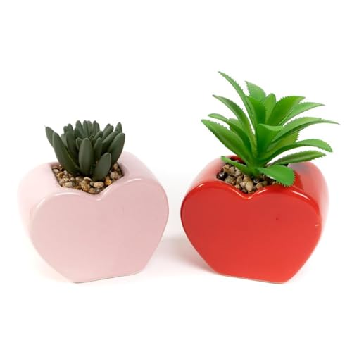 ROCKING GIFTS Blumentopf mit Kaktusherz, 2 Stück, Keramik, dekorativ, für den Innen- und Außenbereich, 9 x 5 cm ROCKING GIFTS Blumentopf mit Kaktusherz, 2 Stück, Keramik, dekorativ, für den Innen- und Außenbereich, 9 x 5 cm von ROCKING GIFTS