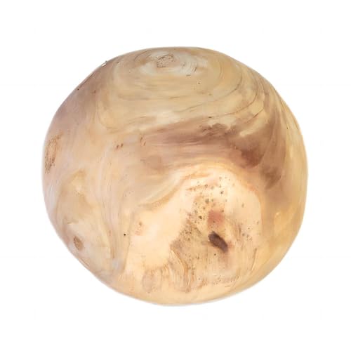 ROCKING GIFTS Dekorative Holzkugel von Paulonia, 16 cm von ROCKING GIFTS