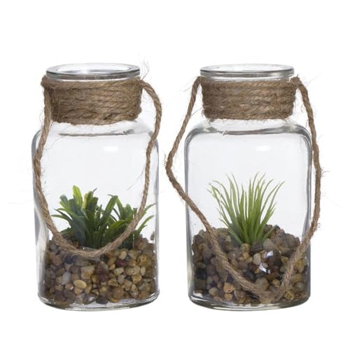 ROCKING GIFTS Dekorativer Kaktus x2 Modelle 12 cm in Glasflasche, transparent, klein von ROCKING GIFTS