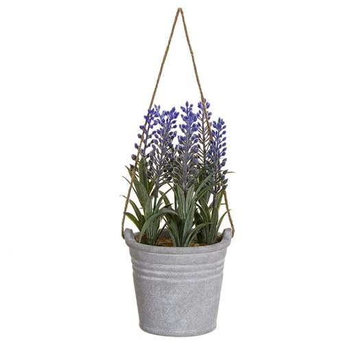 ROCKING GIFTS Künstliche Lavendelpflanze im Topf zum Aufhängen, Dekoration für Haus, Zimmerpflanze oder Terrasse, 22 cm ROCKING GIFTS Künstliche Lavendelpflanze im Topf zum Aufhängen, Dekoration für Haus, Zimmerpflanze oder Terrasse, 22 cm von ROCKING GIFTS