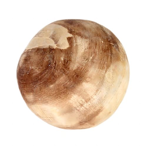 ROCKING GIFTS Paulonia Deko-Kugel aus Holz, 10 cm von ROCKING GIFTS