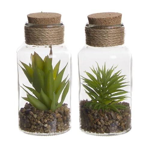 ROCKING GIFTS Set mit 2 kleinen Glasdosen mit künstlichem Kaktus und Sand, Dekoration für Haus, Zimmerpflanze oder Terrasse, 16 cm von ROCKING GIFTS