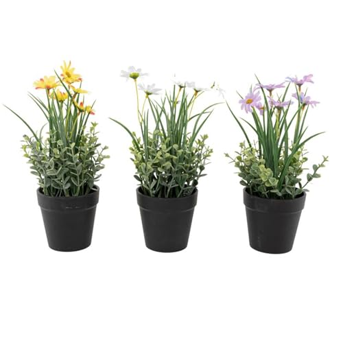 ROCKING GIFTS Set mit 3 Kunstpflanzen, Wildblumen, Dekoration für Haus, Zimmerpflanze oder Terrasse, 25 cm ROCKING GIFTS Set mit 3 Kunstpflanzen, Wildblumen, Dekoration für Haus, Zimmerpflanze oder Terrasse, 25 cm von ROCKING GIFTS