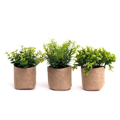ROCKING GIFTS Set mit 3 künstlichen Pflanzen aus Stoff, Dekoration für Haus, Zimmerpflanze oder Terrasse, 17 cm ROCKING GIFTS Set mit 3 künstlichen Pflanzen aus Stoff, Dekoration für Haus, Zimmerpflanze oder Terrasse, 17 cm von ROCKING GIFTS