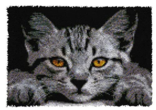 ROCKY&CHAO Knüpfhaken-Teppich-Set DIY-Knüpfhaken Teppichherstellungs für Erwachsene Kinder Kreuzstich-Set Teppichherstellung Heimdekoration 50 x 38 cm （Schwarze Katze） von ROCKY&CHAO