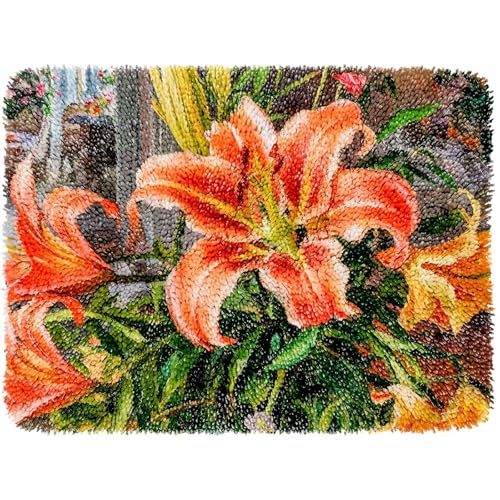 ROCKY&CHAO Knüpfhaken-Teppich-Set DIY-Knüpfhaken Teppichherstellungs für Erwachsene Kinder Kreuzstich Teppichherstellung Heimdekoration 50 * 38cm-0507I von ROCKY&CHAO