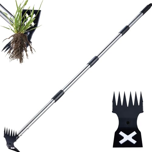 ROCKY&CHAO Unkrautstecher mit langem Stiel 150cm, 2-in-1 Unkraut Entferner Gerät & Gartenhacke, Manuelle Löwenzahnstecher für Gartenarbeit –Effektives Gartengerät gegen Unkraut von ROCKY&CHAO