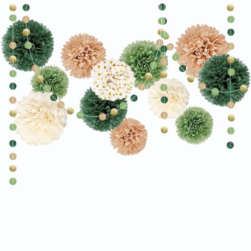 ROEOWENE 15pcs Seidenpapier Pompons Bunt Party Deko Seidenpapier Tissue Papier Pom Poms Aufhängen Dots Papier Girlande Hängenden Partydekoration für Hochzeit,Babyparty,Geburtstag,Gartenparty-Grün von ROEOWENE