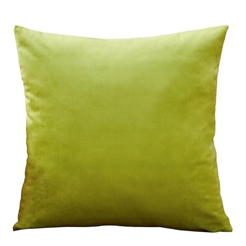 ROEUIPG 3 stücke Samt Kissen Abdeckungen Plaid Kissenbezüge 30x50cm 40x40cm 45x45 50x50cm Wohnkultur Abdeckung for Sofa(Light Green,40cm x 40cm) von ROEUIPG