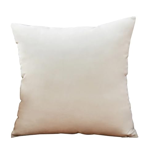 ROEUIPG 3 stücke Samt Kissen Abdeckungen Plaid Kissenbezüge 30x50cm 40x40cm 45x45 50x50cm Wohnkultur Abdeckung for Sofa(White,45cm x 45cm) von ROEUIPG