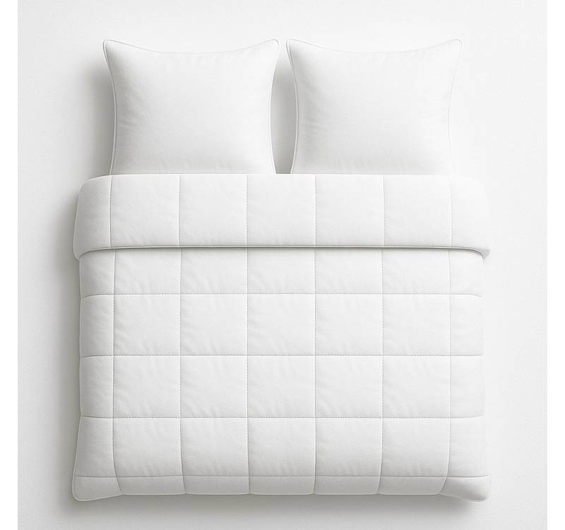 ROLFNERS Bettdecke + Kopfkissen Set, 4-Jahreszeiten, feuchtigkeitsregulierend, ohne Bezug nutzbar von ROLFNERS