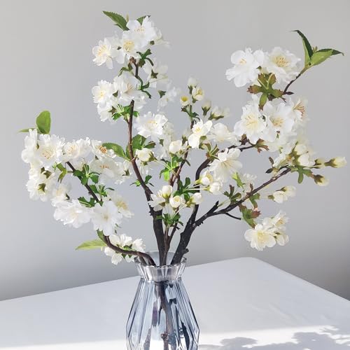 ROLLWAY 3PCS Künstliche Kirschblütenzweige Deko 49cm, Weiß Kunstblumen Frühling Kirschblüten Zweige Künstliche Blumen Kirschzweige Magnolienzweig Seidenblumen Frühlingsblumen Kunstzweige Sakura von ROLLWAY