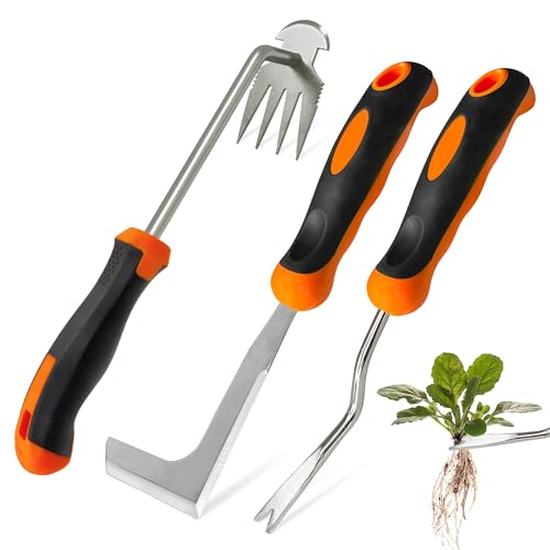 ROLLWAY 3er Set Unkrautstecher Edelstahl, Fugenkratzer Unkraut Hacke und Löwenzahnstecher Werkzeug 33cm, Unkrautjäter Unkrautzieher Unkrautmesser Wurzelstecher Entferner Gerät Unkraut Stecher Harke ROLLWAY 3er Set Unkrautstecher Edelstahl, Fugenkratzer Unkraut Hacke und Löwenzahnstecher Werkzeug 33cm, Unkrautjäter Unkrautzieher Unkrautmesser Wurzelstecher Entferner Gerät Unkraut Stecher Harke von ROLLWAY