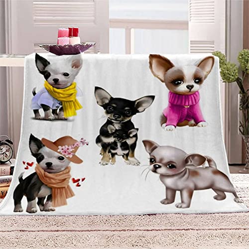 3D Chihuahua Kuscheldecken 70x100 Kids Flauschig Flanelldecke Haustier Hund Warm TV Decke Weich Plüsch Leichte Babydecke Microfaser Tagesdecke Sofadecke Sofa & Bett Wohndecke von ROMIGO