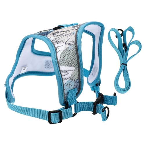 ROMISBABA 1 Satz Haustierleine Hundeleine hundegurt hundegürtel Haustiergeschirr für Ausbildung kleine Hunde geformt Hundegeschirr mit Leine Outdoor-Haustierweste Netz Grey ROMISBABA 1 Satz Haustierleine Hundeleine hundegurt hundegürtel Haustiergeschirr für Ausbildung kleine Hunde geformt Hundegeschirr mit Leine Outdoor-Haustierweste Netz Grey von ROMISBABA