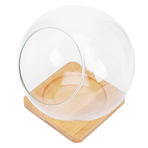 ROMISBABA 1 Satz Kreative Mikrolandschaftsflaschen Runde Glasvasen für Sukkulenten und Moos Terrarium mit Bambusunterlage ROMISBABA 1 Satz Kreative Mikrolandschaftsflaschen Runde Glasvasen für Sukkulenten und Moos Terrarium mit Bambusunterlage von ROMISBABA